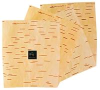 The Atharva-Veda Bhojpatra Sheet, Original Leaf (A4 Size, 3pc) for Puja | Perfect for Writing Yantra & Mantra (31 * 23 cm) (3)