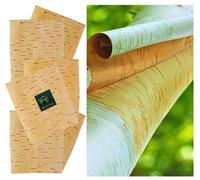 The Atharva-Veda (XL Size 25 * 18 cm, Set of 5) bhojpatra Original Leaf, bhoj patra Sheets | Packed bhurjpatra Leaf, bhojpatra for Writing Yantra | Premium Quality bhojpatra Big Size Paper for Pooja