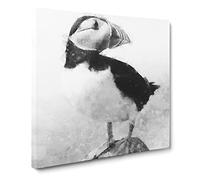 The Atlantic Puffin Bird Canvas Print | Gallery Wrapped 30mm Frame Wall Art | 14x14 inches | Ready to Hang | Modern Animals Picture | Living Room Bedroom Lounge Office