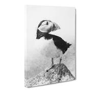 The Atlantic Puffin Bird Canvas Print | Gallery Wrapped 30mm Frame Wall Art | 24x16 inches | Ready to Hang | Modern Animals Picture | Living Room Bedroom Lounge Office