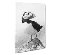The Atlantic Puffin Bird Canvas Print | Gallery Wrapped 30mm Frame Wall Art | 30x20 inches | Ready to Hang | Modern Animals Picture | Living Room Bedroom Lounge Office