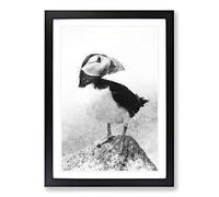 The Atlantic Puffin Bird Painting Framed Print | A2 Black Framed Wall Art | Ready to Hang | Modern Historical Picture | Living Room Bedroom Lounge Office