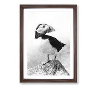 The Atlantic Puffin Bird Painting Framed Print | A2 Walnut Framed Wall Art | Ready to Hang | Modern Historical Picture | Living Room Bedroom Lounge Office