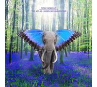 The Atlas Underground Flood