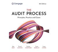 The Audit Process