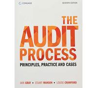The Audit Process