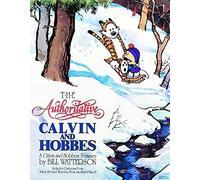 The Authoritative Calvin and Hobbes: A Calvin and Hobbes Treasury Volume 6
