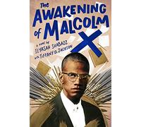 The Awakening of Malcolm X: A Novel