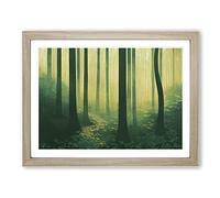 The Awe Inspiring Forest Framed Print | A2 Oak Framed Wall Art | Ready to Hang | Modern Landscape Picture | Living Room Bedroom Lounge Office
