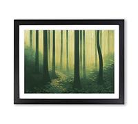 The Awe Inspiring Forest Framed Print | A3 Black Framed Wall Art | Ready to Hang | Modern Landscape Picture | Living Room Bedroom Lounge Office