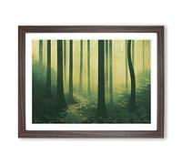 The Awe Inspiring Forest Framed Print | A3 Walnut Framed Wall Art | Ready to Hang | Modern Landscape Picture | Living Room Bedroom Lounge Office