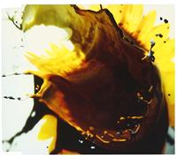 The Back Horn - Hikari No Kessyo