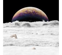 The Back Horn - Pulse