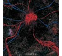 The Back Horn - Shinzou Orchestra [Re-Issue]