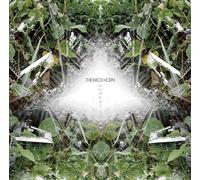 The Back Horn - Symmetry / Kowaremono (CD+DVD) [Japan LTD CD] VIZL-637