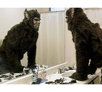 The Back Pages: Hairwolf: A Were-Removal Story