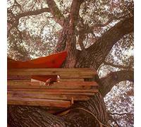 The Backseat Lovers - Waiting to Spill