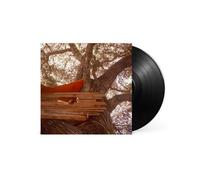 THE BACKSEAT LOVERS - WAITING TO SPILL (VINYL) VINYL LP NEW