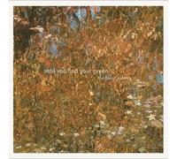 The Baird Sisters - Until You Find Your Green [VINYL]