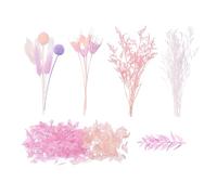 The Baked Studio - Deluxe Dried Flower Set Containing Hydrangea, Craspedia, Octagonal Flowers, Ruscus, Lagurus & Limonium (Pink, Lilac & White)