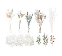 The Baked Studio - Deluxe Dried Flower Set Containing Lagurus, Ruscus, Octagonal Flowers, Hydrangea, Craspedia, Limonium, Sea Holly, Melaleuca Bracteata & Million Star (Sage, White, Natural & Gold)