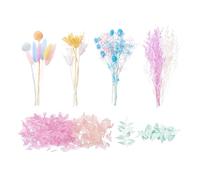 The Baked Studio - Deluxe Dried Flower Set Containing Lagurus, Ruscus, Octagonal Flowers, Hydrangea, Craspedia, Limonium, Sea Holly & Million Star (Rainbow Pastels)