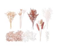 The Baked Studio - Deluxe Dried Flower Set Containing Lagurus, Ruscus, Octagonal Flowers, Hydrangea, Craspedia, Baby’s-Breath & Limonium (Natural, Latte, Nude & White)