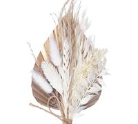 The Baked Studio - Dried Flowers For Cakes Decoration And Crafts With A Moche Latte & Gold Ombre Palm Spear (Mocha Latte)