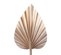 The Baked Studio - Dried Palm Leaf Leaves Palm Spear Cake Topper for Cake Decoration (Mocha Latte & Gold Ombre)