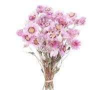 The Baked Studio | Dried Rodanthe Daisies in Presentation Box | Natural Cake & Craft Decoration | Delicate Dried Flowers for Cakes, Styling & Displays (Pink)