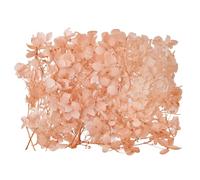 The Baked Studio - Original Dried Flower Hydrangea Set For Cake & Cupcake Decorating & Others Crafts (Dusky Peach)