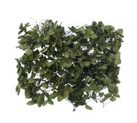 The Baked Studio - Original Dried Flower Hydrangea Set For Cake & Cupcake Decorating & Others Crafts (Forest Green)