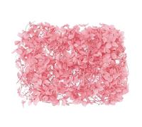 The Baked Studio - Original Dried Flower Hydrangea Set For Cake & Cupcake Decorating & Others Crafts (Pink)