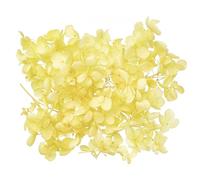 The Baked Studio - Original Dried Flower Hydrangea Set For Cake & Cupcake Decorating & Others Crafts (Yellow)