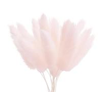The Baked Studio - Original Dried Flower Lagarus Bunny Tails Set For Cake & Cupcake Decorating & Others Crafts (Light Pink)