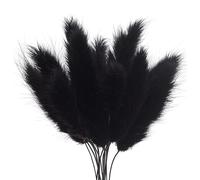 The Baked Studio - Original Dried Flower Lagarus Bunny Tails Set For Cake & Cupcake Decorating & Others Crafts (Black)