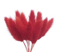 The Baked Studio - Original Dried Flower Lagarus Bunny Tails Set For Cake & Cupcake Decorating & Others Crafts (Red)