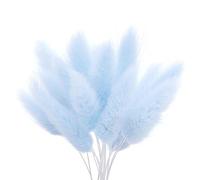 The Baked Studio - Original Dried Flower Lagarus Bunny Tails Set For Cake & Cupcake Decorating & Others Crafts (Light Blue)