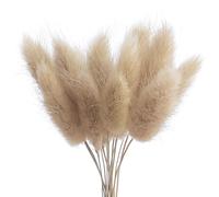 The Baked Studio - Original Dried Flower Lagarus Bunny Tails Set For Cake & Cupcake Decorating & Others Crafts (Natural)