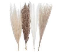 The Baked Studio - Original Dried Flower Pampas Stems Set For Cake Decorating & Others Crafts (Natural)