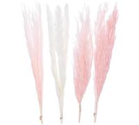 The Baked Studio - Original Dried Flower Pampas Stems Set For Cake Decorating & Others Crafts (Pink)
