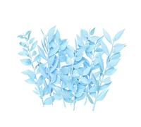 The Baked Studio - Original Dried Flower Ruscus Set For Cake & Cupcake Decorating & Others Crafts (Light Blue)
