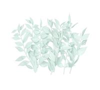 The Baked Studio - Original Dried Flower Ruscus Set For Cake & Cupcake Decorating & Others Crafts (Light Green)
