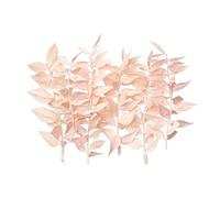 The Baked Studio - Original Dried Flower Ruscus Set For Cake & Cupcake Decorating & Others Crafts (Light Pink)