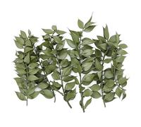 The Baked Studio - Original Dried Flower Ruscus Set For Cake & Cupcake Decorating & Others Crafts (Natural Green)