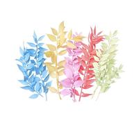 The Baked Studio - Original Dried Flower Ruscus Set For Cake & Cupcake Decorating & Others Crafts (Rainbow Pastel)
