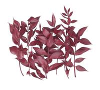 The Baked Studio - Original Dried Flower Ruscus Set For Cake & Cupcake Decorating & Others Crafts (Red)