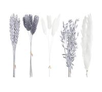 The Baked Studio - Original Dried Flower Set Containing Pampas, Oats, Wheat, Lagarus Bunny Tails & Phalaris For Cake & Cupcake Decorating & Others Crafts (Silver)