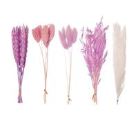 The Baked Studio - Original Dried Flower Set Containing Pampas, Oats, Wheat, Lagarus Bunny Tails & Phalaris For Cake & Cupcake Decorating & Others Crafts (Purple)