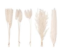 The Baked Studio - Original Dried Mixed Flower Cake Decoration Set | Pampas, Oats, Wheat, Lagurus Bunny Tails & Phalaris | Floral Cake Topper Arrangement for Cakes, Cupcakes & Craft Projects (White)